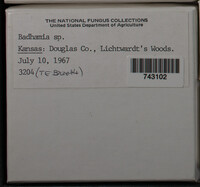 Image Associated With the Occurence